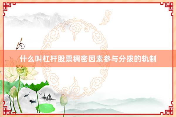 什么叫杠杆股票稠密因素参与分拨的轨制