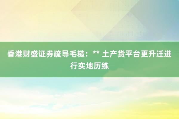 香港财盛证券疏导毛糙：** 土产货平台更升迁进行实地历练