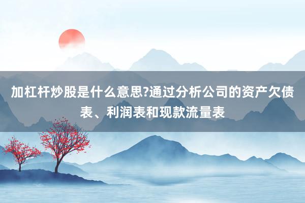 加杠杆炒股是什么意思?通过分析公司的资产欠债表、利润表和现款流量表