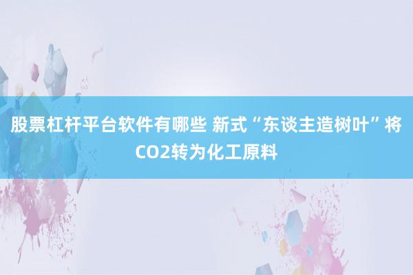 股票杠杆平台软件有哪些 新式“东谈主造树叶”将CO2转为化工原料