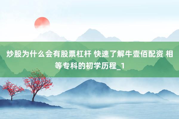 炒股为什么会有股票杠杆 快速了解牛壹佰配资 相等专科的初学历程_1